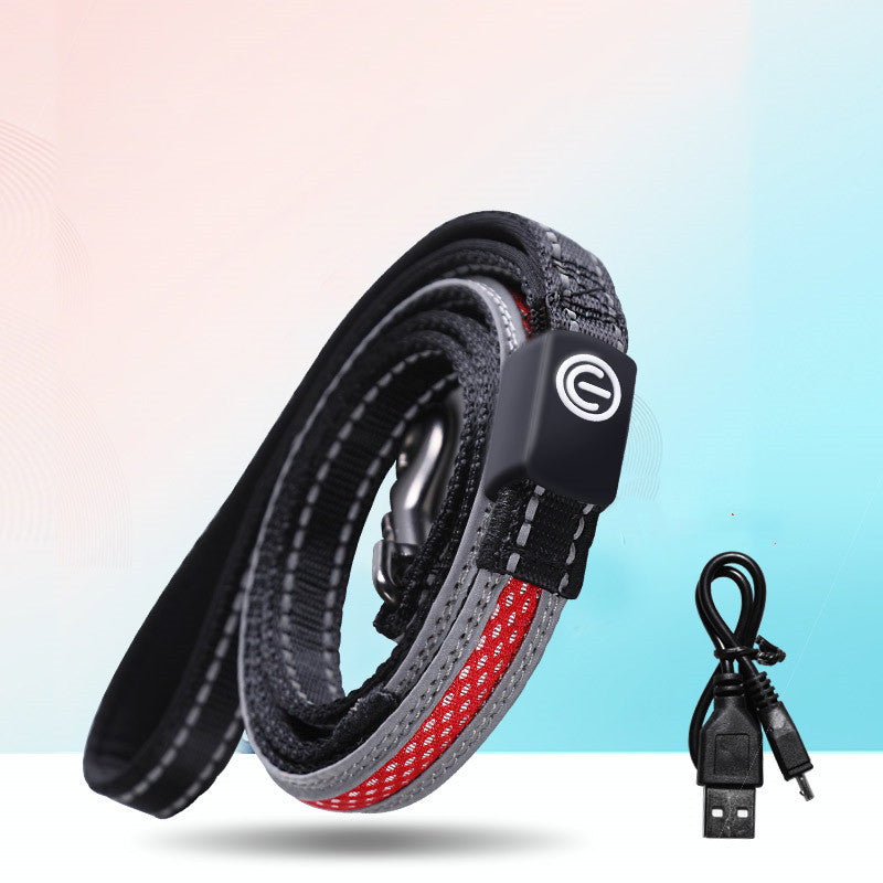USB Rechargeable LED Dog Collar for Night Walks